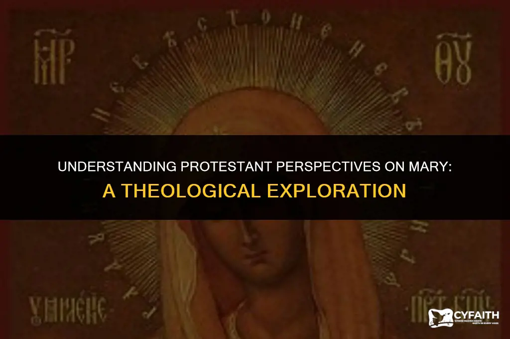 why is mary not venerated in the protestant churches