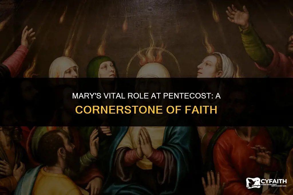 why is mary