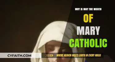 May's Marian Devotion: Exploring Catholic Traditions Honoring Mary