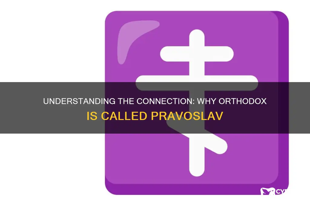 why is orthodox called pravoslav