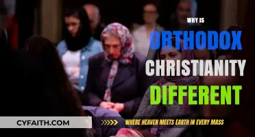 Distinctive Practices and Beliefs: Exploring Orthodox Christianity's Unique Identity