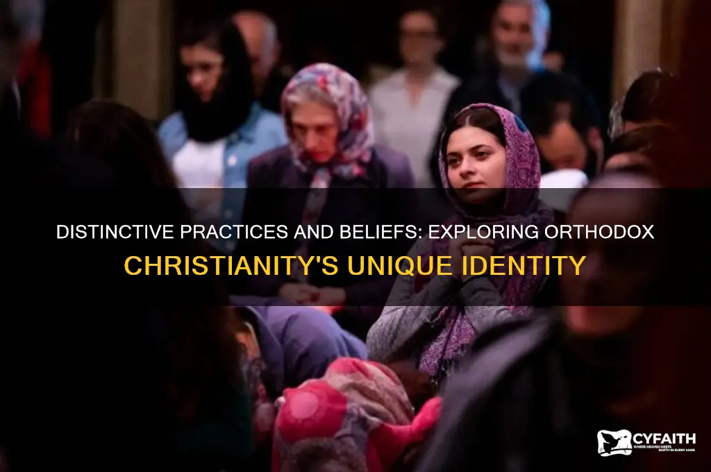 why is orthodox christianity different
