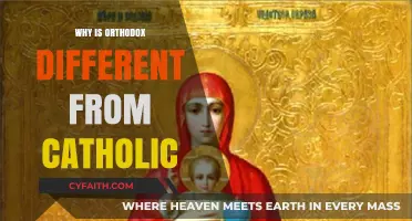 Orthodox vs. Catholic: Key Theological and Liturgical Differences Explained