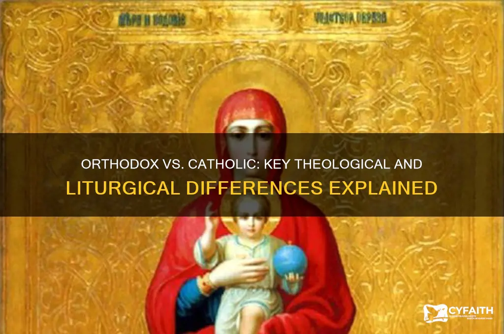 why is orthodox different from catholic