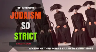 Understanding the Rigorous Traditions of Orthodox Judaism: A Deep Dive