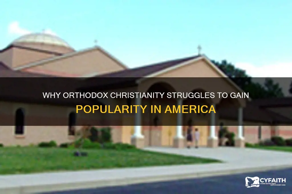 why is orthodox not popular in america