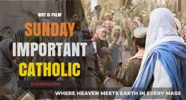 Palm Sunday's Significance: A Catholic Perspective on Christ's Triumphal Entry
