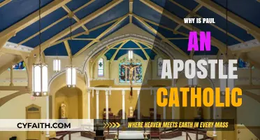 Why Paul's Apostolic Role Defines Catholic Faith and Tradition