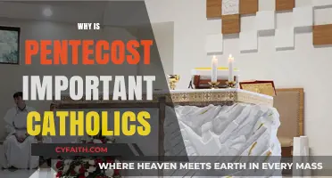 Pentecost's Power: Uniting Catholics in Faith, Spirit, and Mission