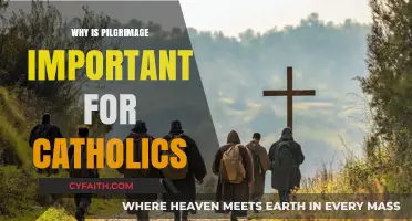 Pilgrimage: A Sacred Journey of Faith for Catholics