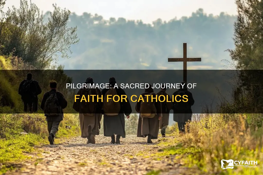 why is pilgrimage important for catholics