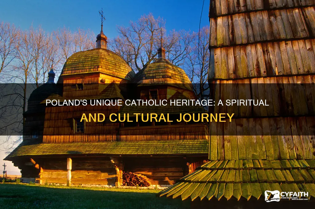 why is poland special to catholic
