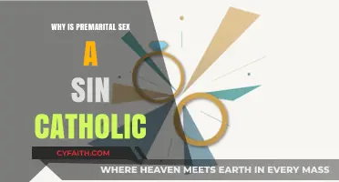 Premarital Sex and Catholic Teachings: Understanding the Sin Perspective