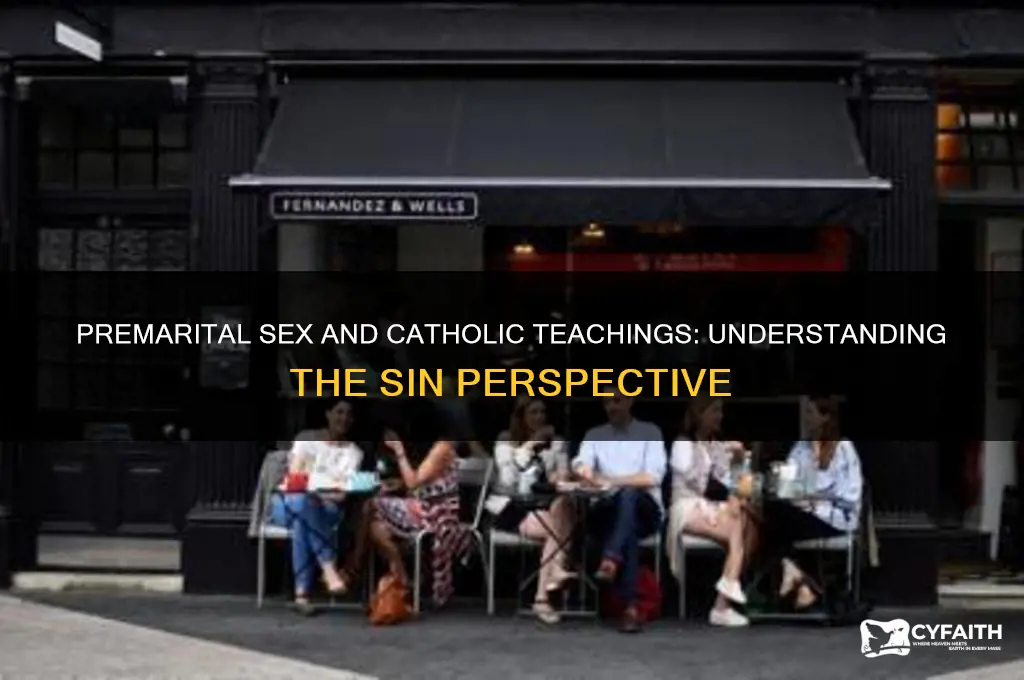 why is premarital sex a sin catholic