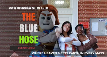 The Origin of Presbyterian College's Unique Blue Hose Nickname