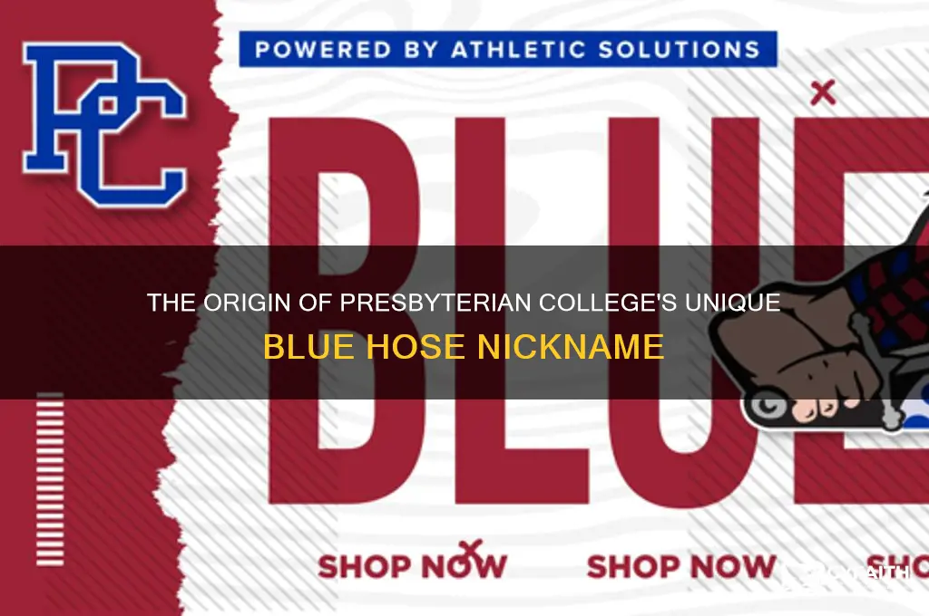why is presbyterian college called the blue hose