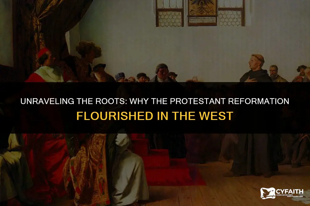 why is protestant reformation in western
