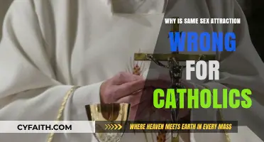 Catholic Teachings on Same-Sex Attraction: Understanding the Church's Perspective