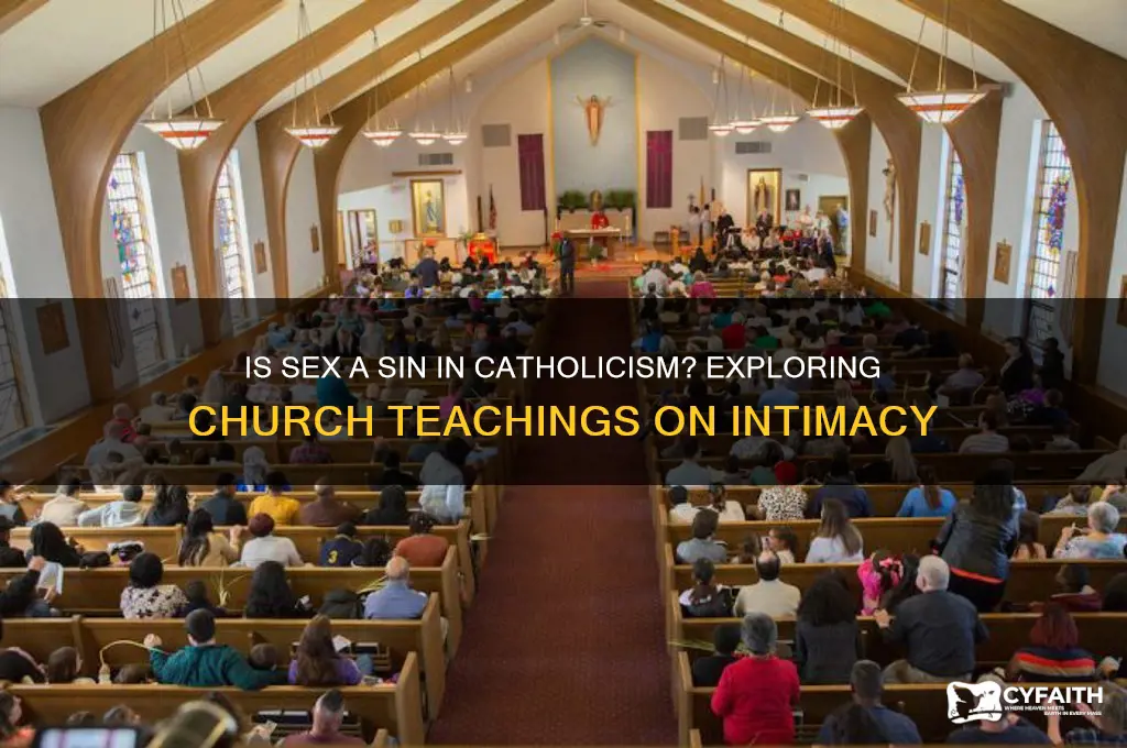 why is sex a sin catholic