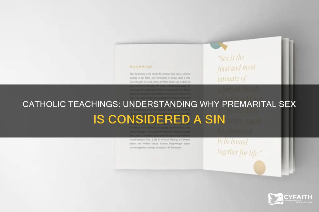 why is sex outside of marriage a sin catholic