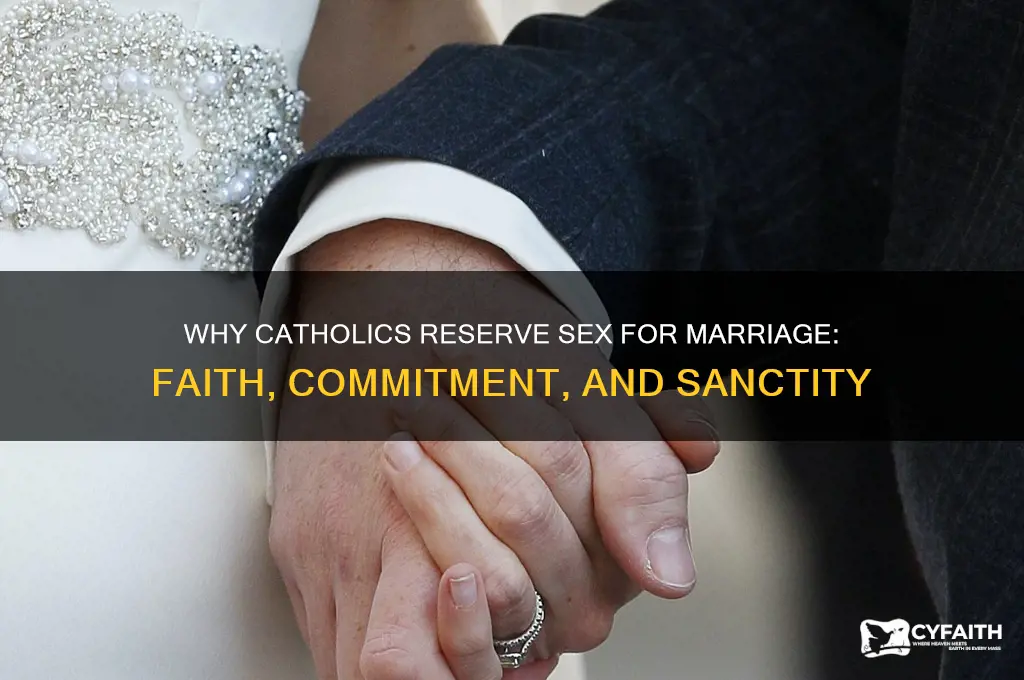 why is sex reserved for marriage catholic
