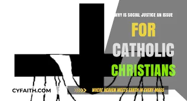 Social Justice: A Catholic Christian Responsibility and Moral Imperative
