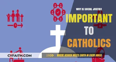 Social Justice: A Catholic Imperative for Faith and Action