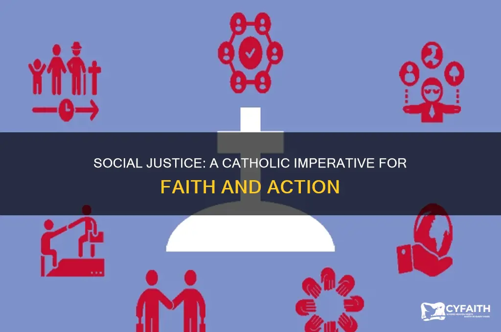why is social justice important to catholics