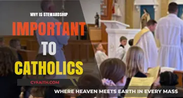 Stewardship's Role in Catholic Faith: Nurturing God's Gifts Responsibly