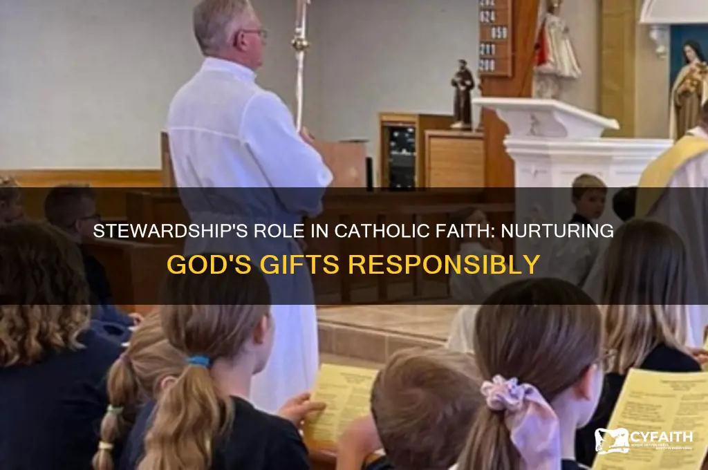 why is stewardship important to catholics