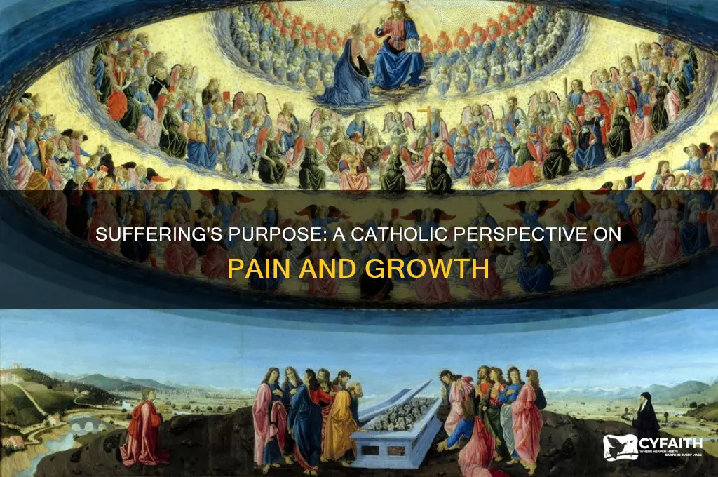 why is suffering good catholic