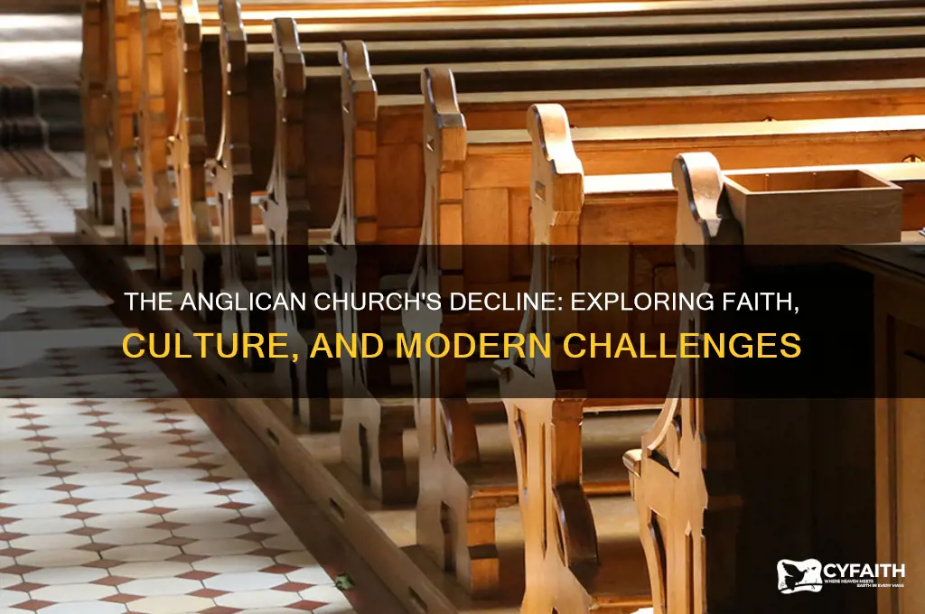 why is the anglican church in decline