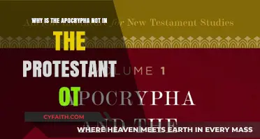 Unveiling the Absence: The Apocrypha's Protestant OT Exclusion Explained