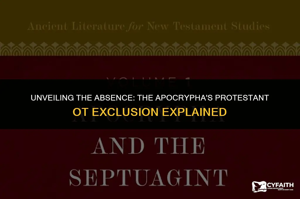 why is the apocrypha not in the protestant ot