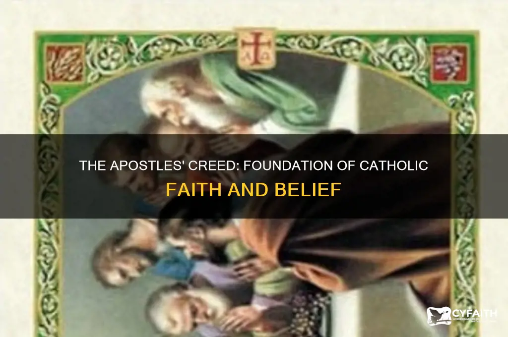 why is the apostles creed important to catholic faith