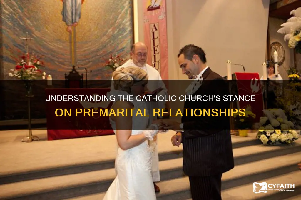 why is the catholic against premarital