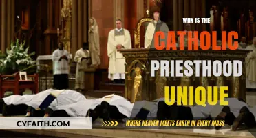 The Catholic Priesthood: A Sacred, Singular, and Timeless Vocation