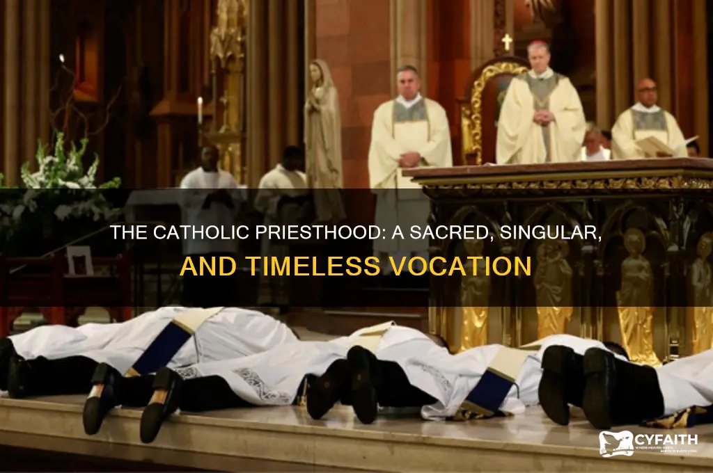 why is the catholic priesthood unique