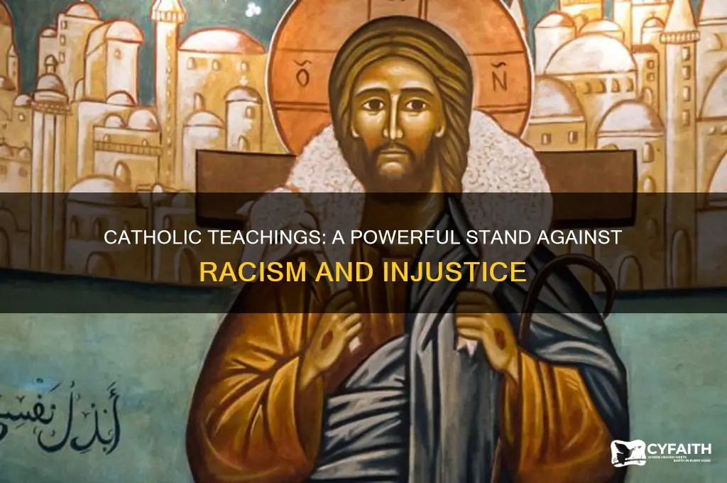 why is the catholic source against racism
