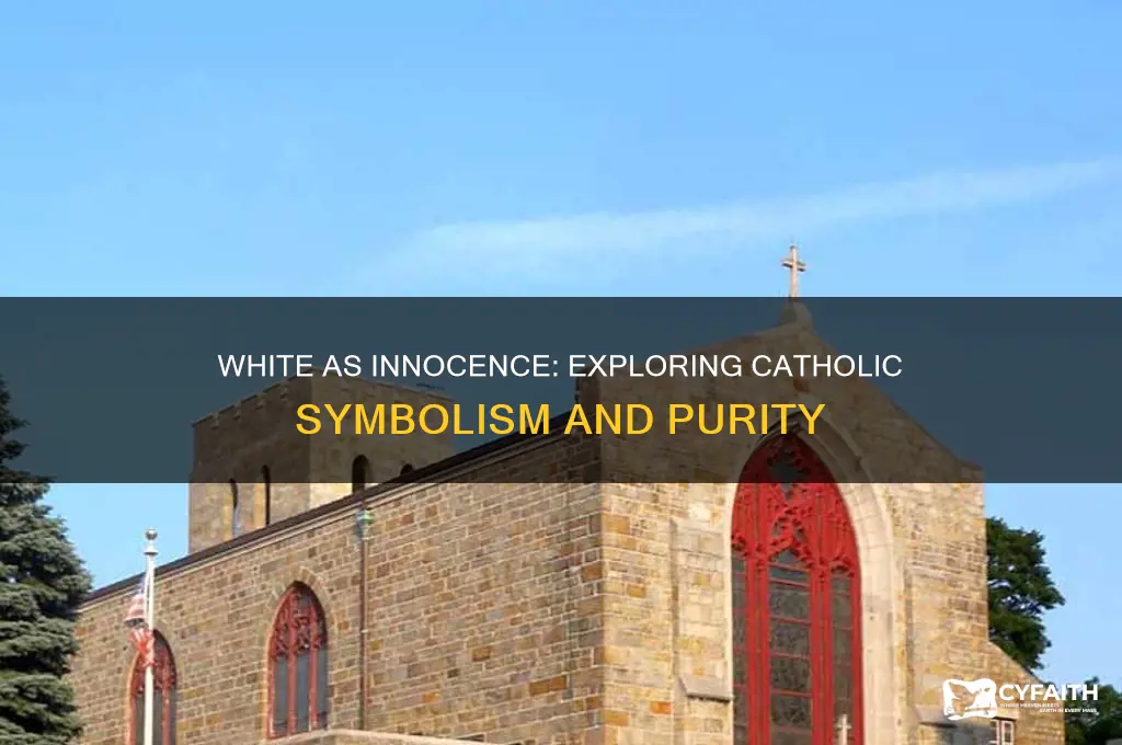 why is the color white innocence catholic symbols