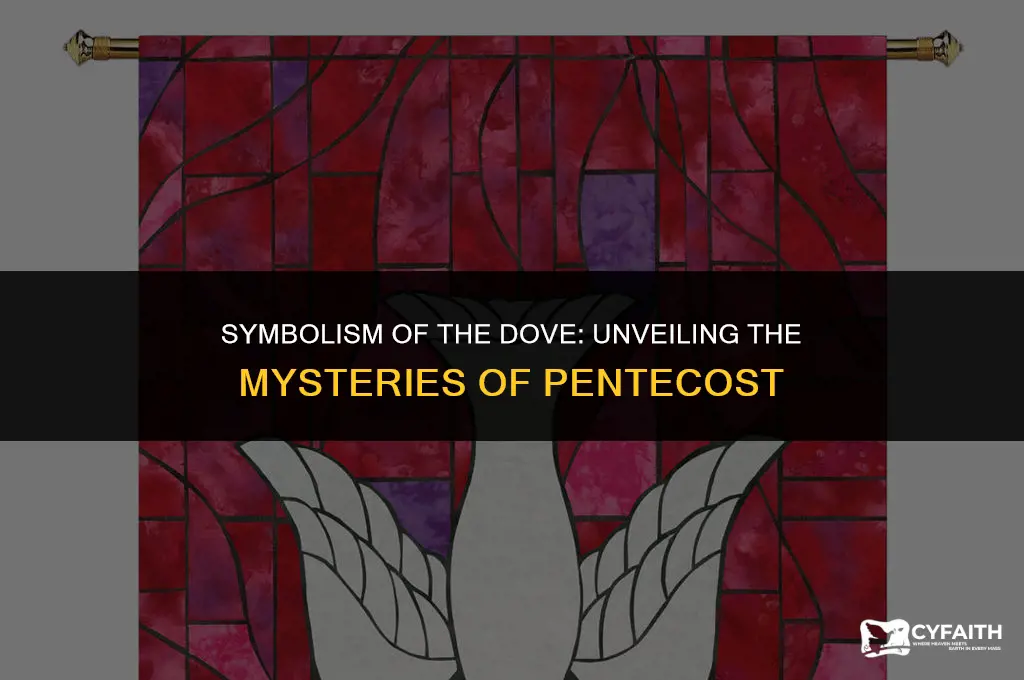 why is the dove used for pentecost
