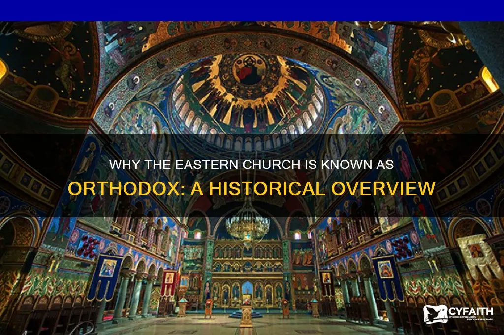 why is the eastern church called orthodox