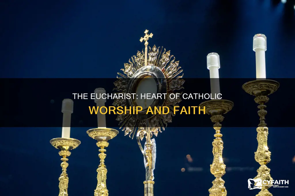 why is the eucharist central to catholic worship