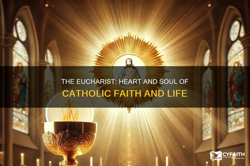why is the eucharist the center of catholic life