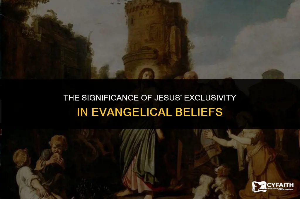 why is the exclusivity of jesus so important to evangelicals