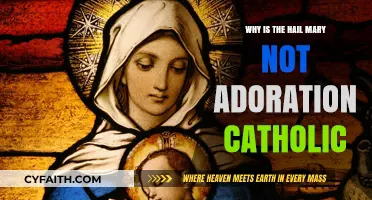 Hail Mary: Prayer, Not Adoration, in Catholic Tradition Explained