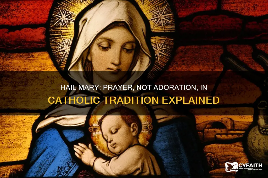 why is the hail mary not adoration catholic