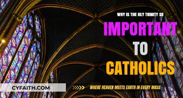 The Holy Trinity: Catholics' Core Belief and Spiritual Foundation