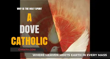 Why the Holy Spirit is Symbolized as a Dove in Catholicism