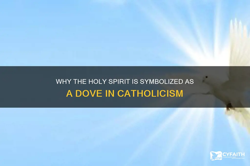 why is the holy spirit a dove catholic